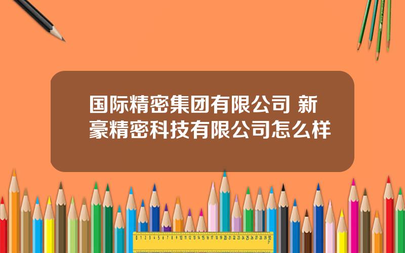 国际精密集团有限公司 新豪精密科技有限公司怎么样